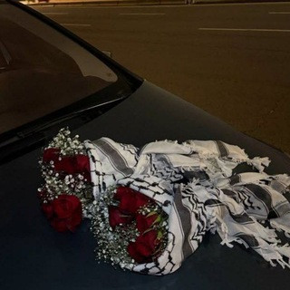 فيولا 𖤴, telegram channel