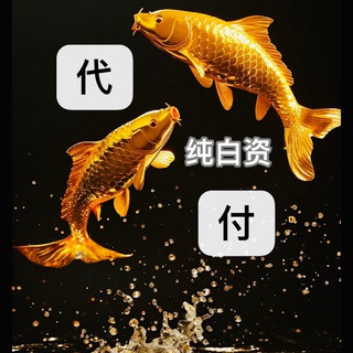 汇旺担保| 跑分灰产白资代付项目交流群, telegram group