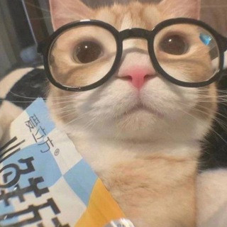 sQg.memes, telegram channel