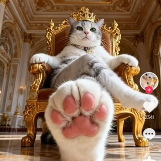 熊猫短剧 | 热播短剧, telegram channel