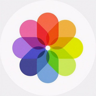imageColorizer, telegram bot
