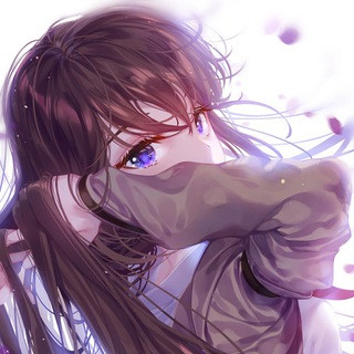 雨夜文件下载区, telegram channel