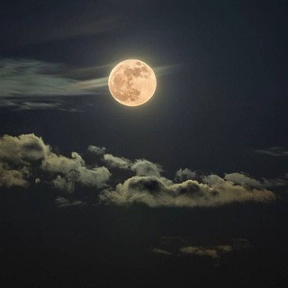كتبت ليك قمر الزمان ️🤍, telegram channel