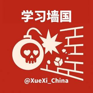 学习墙国（大冲塔 ‍ ️/大自爆运动 ）, telegram channel