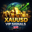 XAUUSD VIP Signals