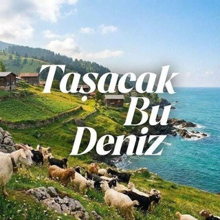 Taşacak Bu Deniz, telegram channel