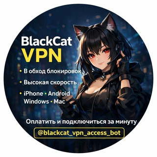 BlackCat VPN ‍⬛, telegram channel