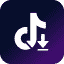 TikTok Downloader . Save Video No Watermark