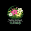 【大花烟草】免费送香烟 烟厂直营