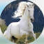 GameKinq47