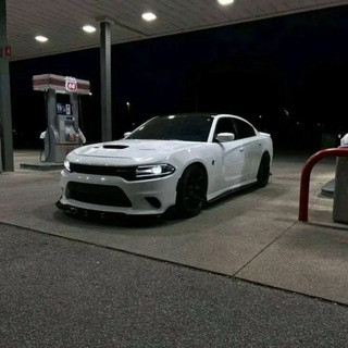 Striker car dealerships, telegram channel
