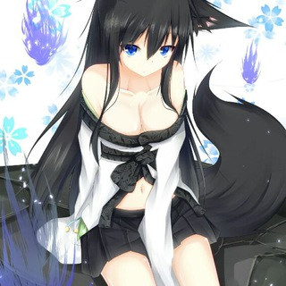 月夜黑貓團《聊天群》, telegram group