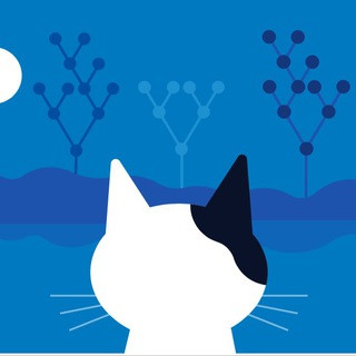 CatBoost, telegram group