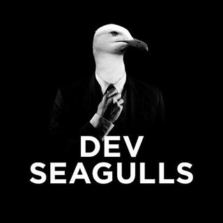 Dev Seagulls Chat, telegram group