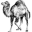 Modern::Perl