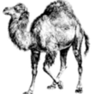 Modern::Perl, telegram group