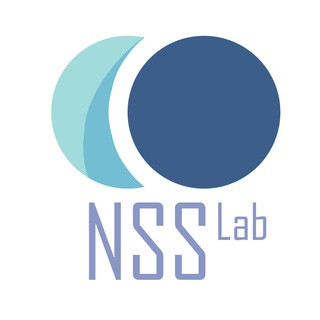 NSS Lab News, telegram channel
