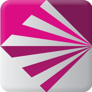 Project V （使用与反馈）, telegram group