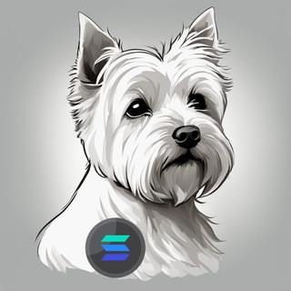 PumpFun Autocalls, telegram channel