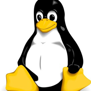 SPbLUG News, telegram channel