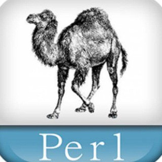 use Perl or die;, telegram group