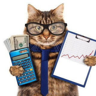 Записки инвестора, telegram channel
