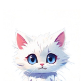 猫源码-管理员不主动私聊, telegram group