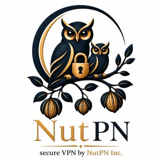 NutPN Inc., telegram bot