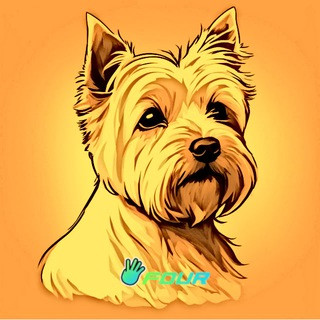 FourMeme AutoCalls, telegram channel