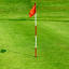 GOLF고객센터 (공식)