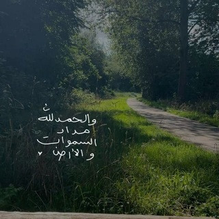 -, telegram channel