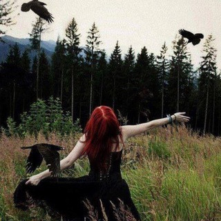 Rûh-î Hâl𓂀, telegram channel