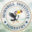 Hornbill Forestry IFoS 2026