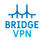 BridgeVPN