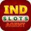Indslots Agent