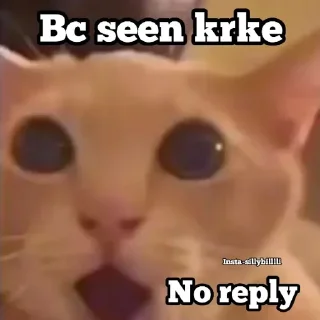 🤔-ㅤㅤㅤㅤㅤ, Telegram Sticker