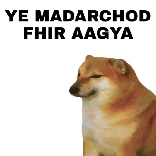 🤔-ㅤㅤㅤㅤㅤ, Telegram Sticker