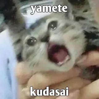 🥲-ㅤㅤㅤㅤㅤ, Telegram Sticker