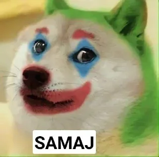 🐱-ㅤㅤㅤㅤㅤ, Telegram Sticker