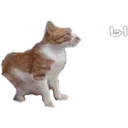 😨-Abdullah, Telegram Sticker