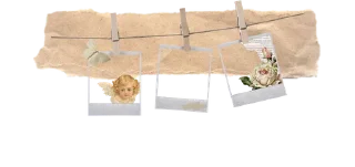 🦋-@strawmilky cwutie border-, Telegram Sticker
