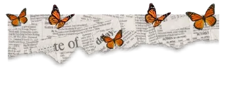🦋-@strawmilky cwutie border-, Telegram Sticker