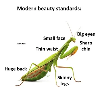 👍-ALL IN 1 by RT, Telegram Sticker