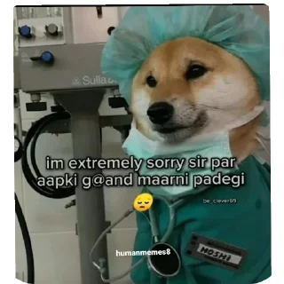 🐶-ALL IN 1 by RT, Telegram Sticker