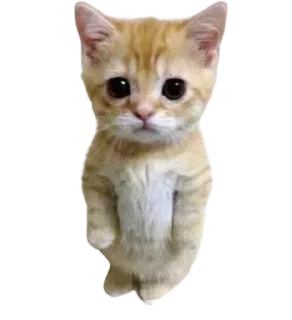 😟-ALL IN 1 by RT, Telegram Sticker