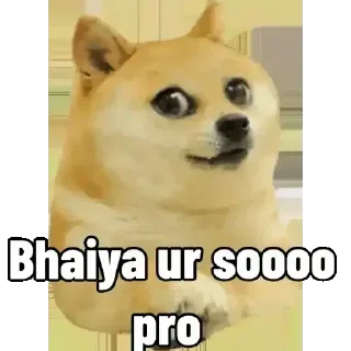 🥺-ALL IN 1 by RT, Telegram Sticker