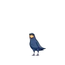 🤩-Crow, Telegram Sticker
