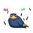 Crow