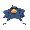 🤨-Crow, Telegram Sticker