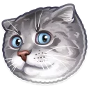 🐱-Just zoo it!, Telegram Sticker